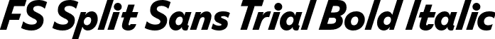 FS Split Sans Trial Bold Italic font - FSSplitSansTrial-BoldItalic.otf