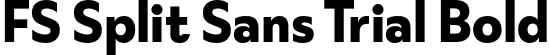 FS Split Sans Trial Bold font - FSSplitSansTrial-Bold.otf