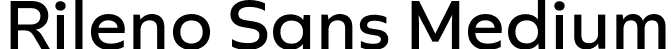 Rileno Sans Medium font - RilenoSans-Medium.otf