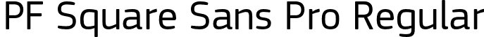 PF Square Sans Pro Regular font - PFSquareSansPro-Regular-subset.otf