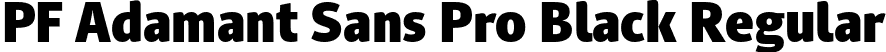 PF Adamant Sans Pro Black Regular font - PFAdamantSansPro-Black-subset.otf