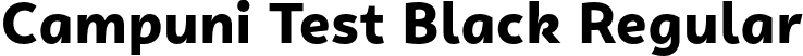 Campuni Test Black Regular font - CampuniTest-Black.otf