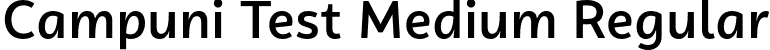 Campuni Test Medium Regular font - CampuniTest-Medium.otf