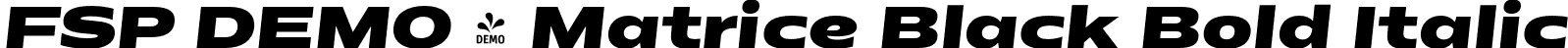 FSP DEMO - Matrice Black Bold Italic font - Fontspring-DEMO-matrice-blackitalic.otf