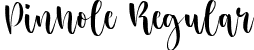 Pinhole Regular font - Pinhole.ttf