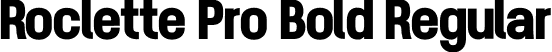 Roclette Pro Bold Regular font - RoclettePro-Bold.otf