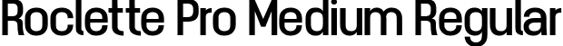 Roclette Pro Medium Regular font - RoclettePro-Medium.ttf