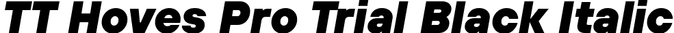 TT Hoves Pro Trial Black Italic font - TT Hoves Pro Trial Black Italic.ttf