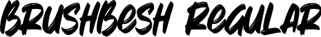 BrushBesh Regular font - Brushbesh-ow2GV.otf