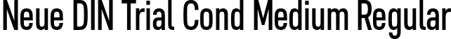Neue DIN Trial Cond Medium Regular font - NeueDINTrialCond-Medium.otf