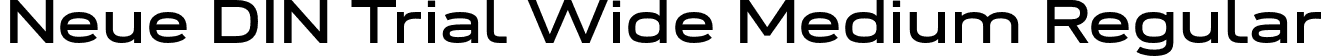 Neue DIN Trial Wide Medium Regular font - NeueDINTrialWide-Medium.otf
