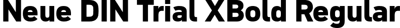 Neue DIN Trial XBold Regular font - NeueDINTrial-XBold.otf