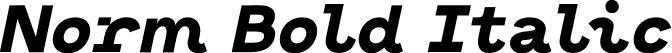Norm Bold Italic font - Norm-BoldItalic.otf