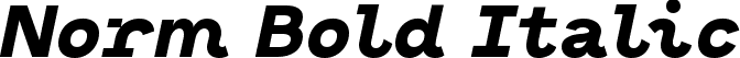 Norm Bold Italic font - Norm-BoldItalic.ttf
