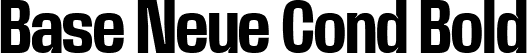 Base Neue Cond Bold font - BaseNeueTrial-CondensedBold-BF63d645e3507ef.ttf