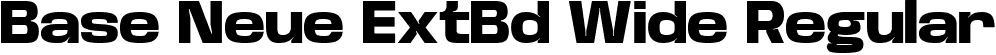 Base Neue ExtBd Wide Regular font - BaseNeueTrial-WideExtraBold-BF63d645f589287.ttf