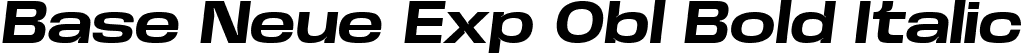 Base Neue Exp Obl Bold Italic font - BaseNeueTrial-ExpBoldObliq-BF63d645e355e88.ttf