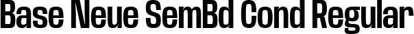 Base Neue SemBd Cond Regular font - BaseNeueTrial-CondSemBd-BF63d645de78cc6.ttf