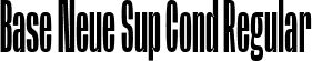 Base Neue Sup Cond Regular font - BaseNeueTrial-SuperCond-BF63d645e4527f9.ttf