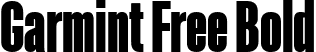 Garmint Free Bold font - garmint-display-free.ttf