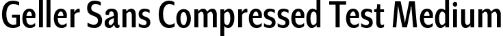 Geller Sans Compressed Test Medium font - GellerSansCompressedTest-Medium-uploaded-63b63c65698a3.otf