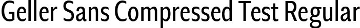Geller Sans Compressed Test Regular font - GellerSansCompressedTest-Regular-uploaded-63b63c62cda6d.otf