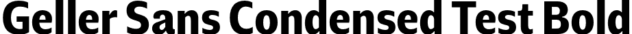 Geller Sans Condensed Test Bold font - GellerSansCondensedTest-Bold-uploaded-63b63c6569119.otf