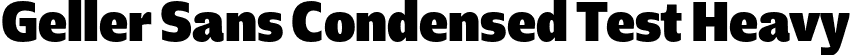 Geller Sans Condensed Test Heavy font - GellerSansCondensedTest-Heavy-uploaded-63b63c6797d8b.otf