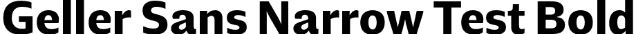 Geller Sans Narrow Test Bold font - GellerSansNarrowTest-Bold-uploaded-63b63c722a953.otf
