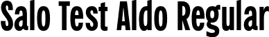 Salo Test Aldo Regular font - SaloTest-Aldo-uploaded-63b4f202b692c.otf