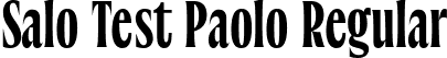 Salo Test Paolo Regular font - SaloTest-Paolo-uploaded-63b4f20118769.otf