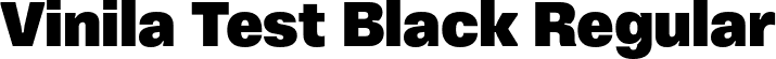 Vinila Test Black Regular font - VinilaTest-Black.otf