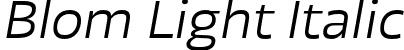 Blom Light Italic font - Blom-LightItalic.otf