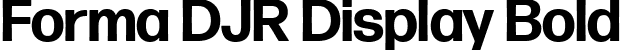 Forma DJR Display Bold font - FormaDJRDisplay-Bold-Testing.ttf