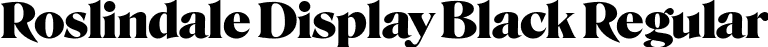 Roslindale Display Black Regular font - Roslindale-DisplayBlack-Testing.ttf