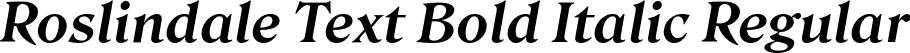 Roslindale Text Bold Italic Regular font - Roslindale-TextBoldItalic-Testing.ttf