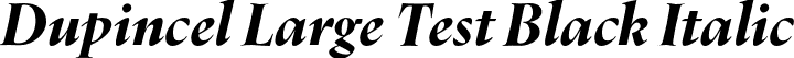 Dupincel Large Test Black Italic font - DupincelLargeTest-BlackItalic.otf