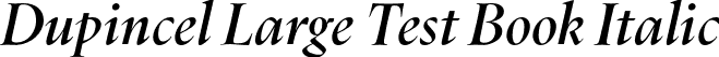 Dupincel Large Test Book Italic font - DupincelLargeTest-BookItalic.otf