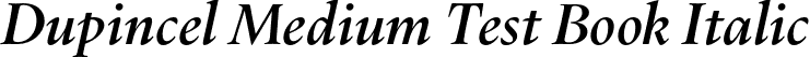 Dupincel Medium Test Book Italic font - DupincelMediumTest-BookItalic.otf
