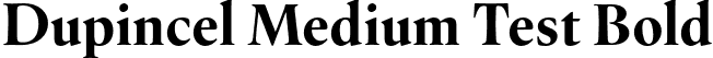 Dupincel Medium Test Bold font - DupincelMediumTest-Bold.otf