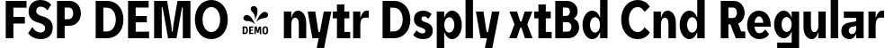 FSP DEMO - nytr Dsply xtBd Cnd Regular font - Fontspring-DEMO-unytourdisplay-extraboldcondensed.otf