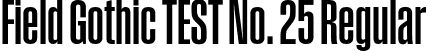 Field Gothic TEST No. 25 Regular font - FieldGothicTEST-No.25.otf