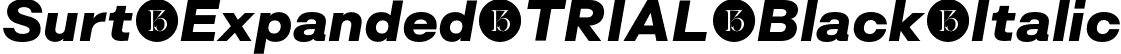 Surt-Expanded-TRIAL Black Italic font - Surt-Expanded-Black-Italic-TRIAL.otf