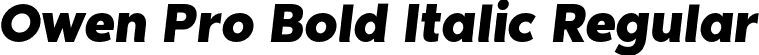 Owen Pro Bold Italic Regular font - OwenPro-BoldItalic.otf