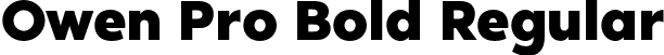 Owen Pro Bold Regular font - OwenPro-Bold.otf