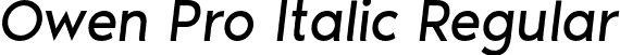 Owen Pro Italic Regular font - OwenPro-Italic.otf