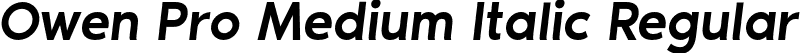 Owen Pro Medium Italic Regular font - OwenPro-MediumItalic.otf