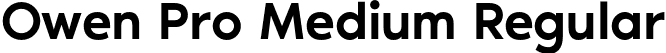 Owen Pro Medium Regular font - OwenPro-Medium.otf