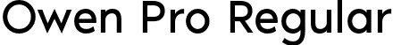Owen Pro Regular font - OwenPro-Regular.otf