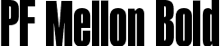 PF Mellon Bold font - PFMellon-Bold-subset.otf